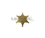 Star Badge Wall Hanger